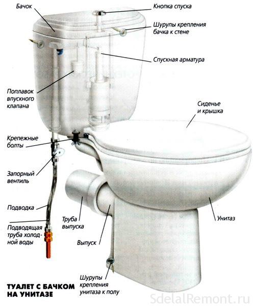 Repair toilet with his hands, repair toilet tank, valve, plum, cover .