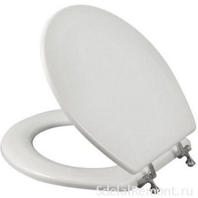 plastic Toilet Seat