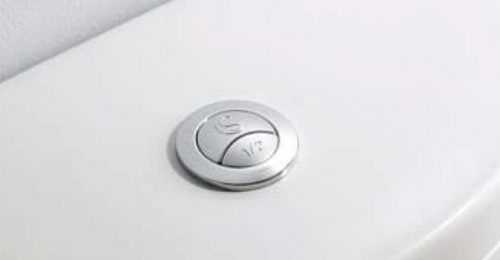 dual flush button