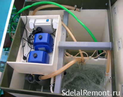 septic tank maintenance
