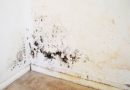 How to deal with mold and mildew on the walls of the apartment, removal tools
