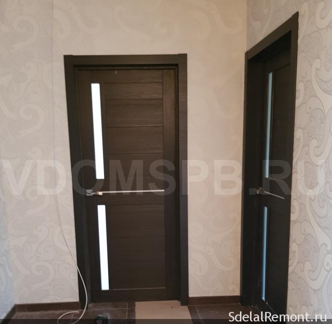 tsargovye doors in color wenge