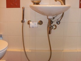 Ванночка с фонтанчиком: как правильно выбрать биде и научиться им пользоваться?