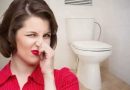 Why the toilet smells and how to solve the problem